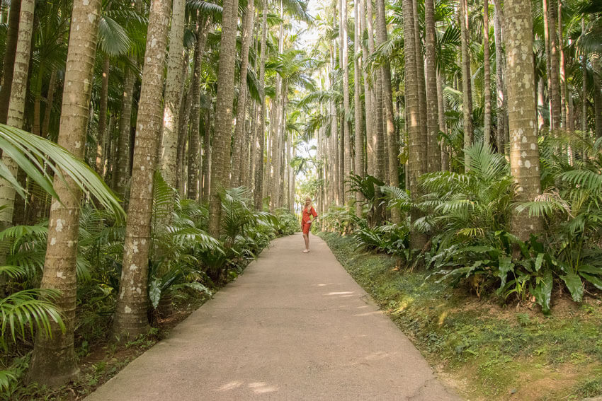 Photo of a Woman Wearing an Orange Dress in the Middle of the Forest  Shot by Tamron 18-400mm Lenses 