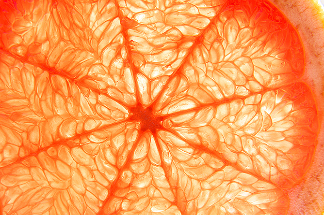 Close-Up Photo of the Inside of Orange Fruit Shot by Tamron 18-300mm F3.5-6.3