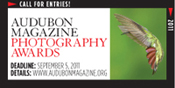 Audubon Photo Contest