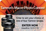 Tamron Macro Contest