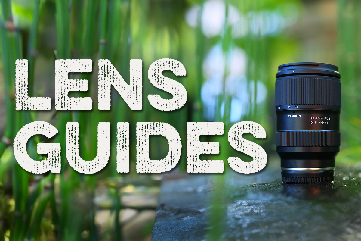 Lens Guides